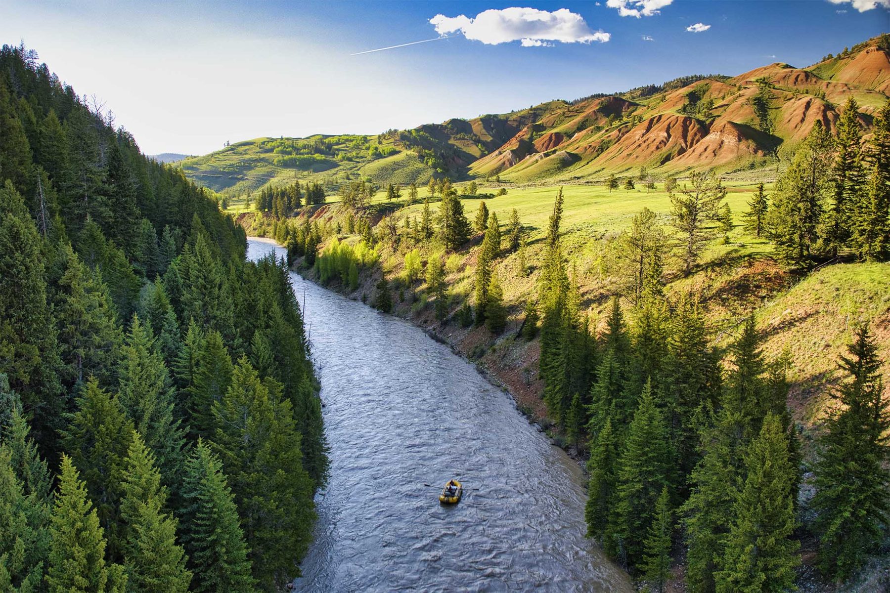 River in forest on Red Hills Ranch