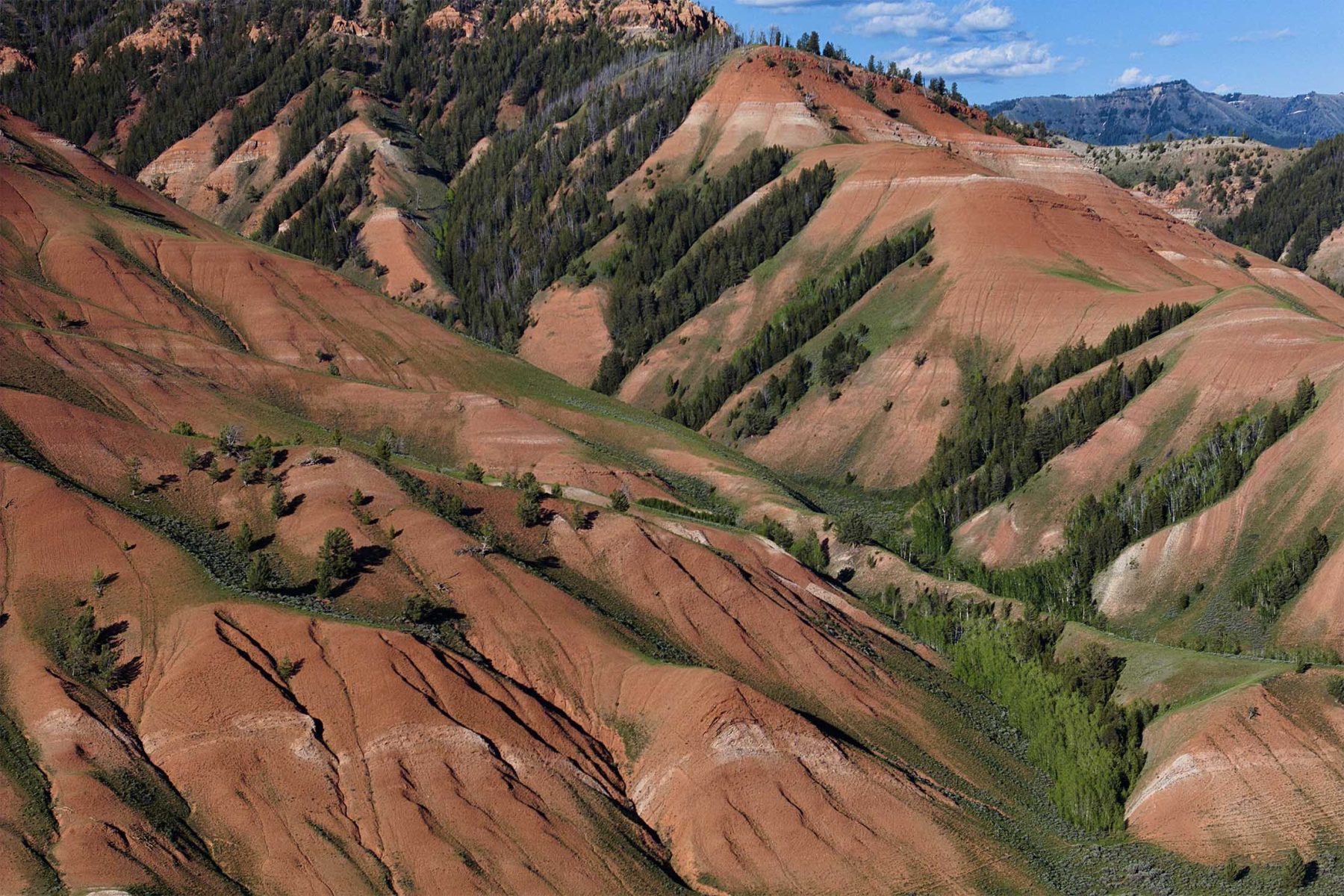 red_hills_ranch_jackson_hole_wyoming_rolling_hills