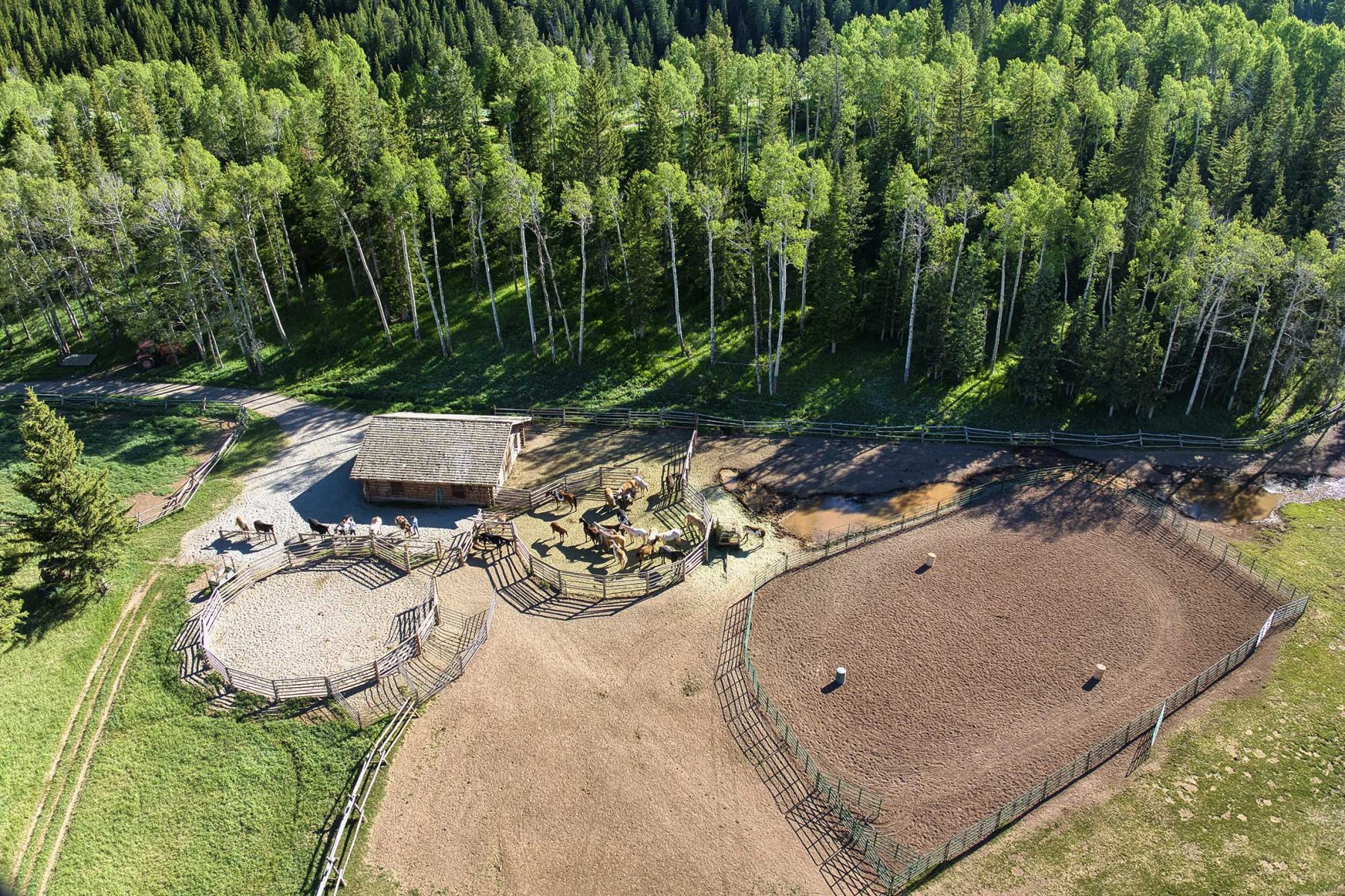 red_hills_ranch_jackson_hole_wyoming_riding_ring