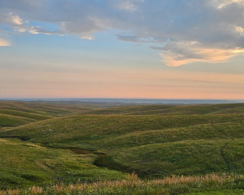 bird hunting ranch hill landscape