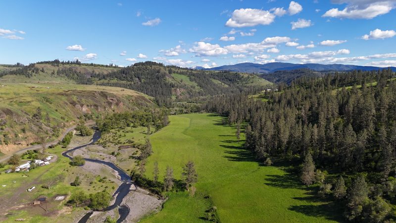 landscape view of bird ranch