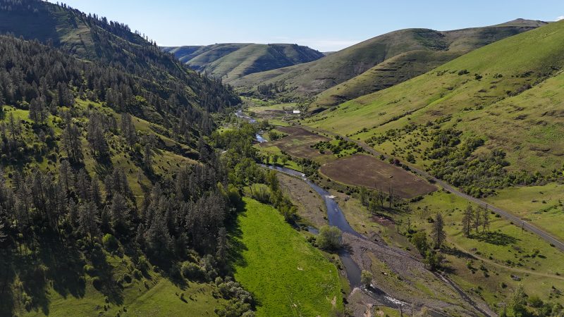 canyon and hills on bird hunting ranch