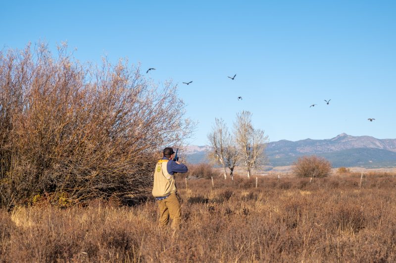 hunter shooting at birds