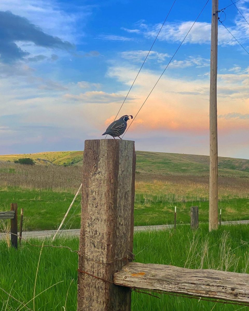 Norway_Canyon_hunting_retreat_duck_hunting