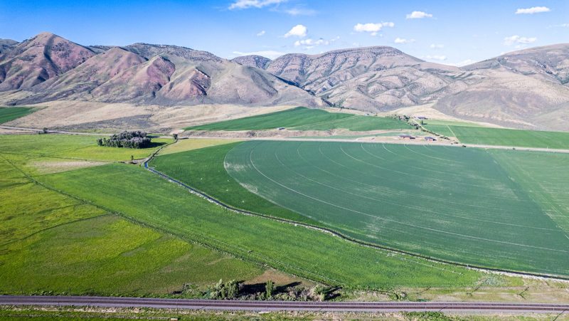 Hay Field Nieslanik Ranch