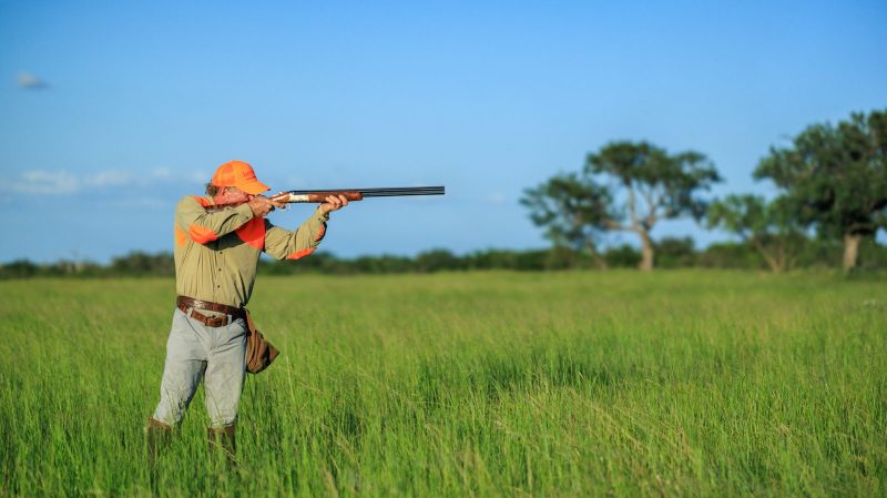 hunter on bird hunting ranch in Texas