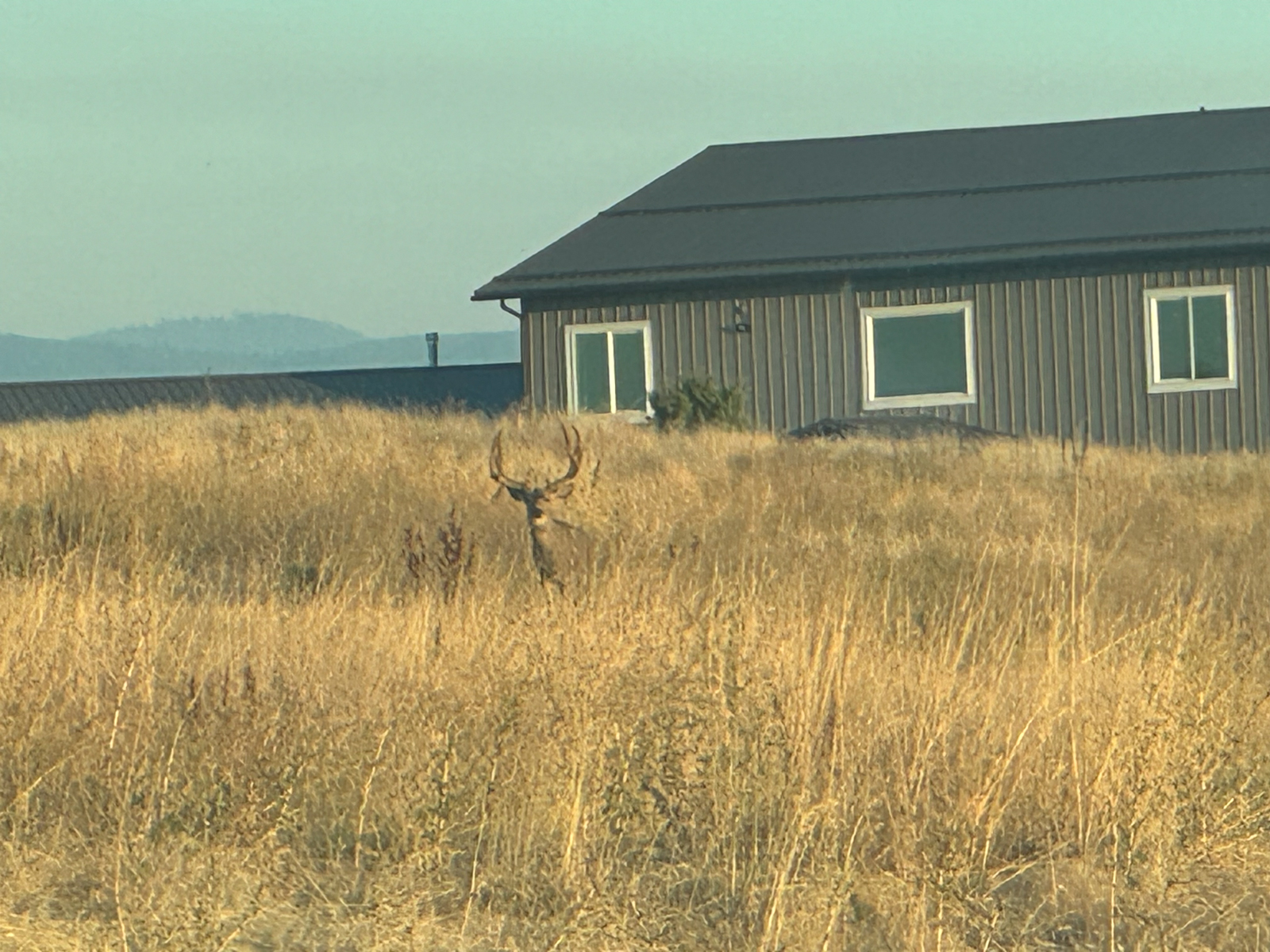 Two_canyons_ranch_Idaho_elk_hunting_field(2)