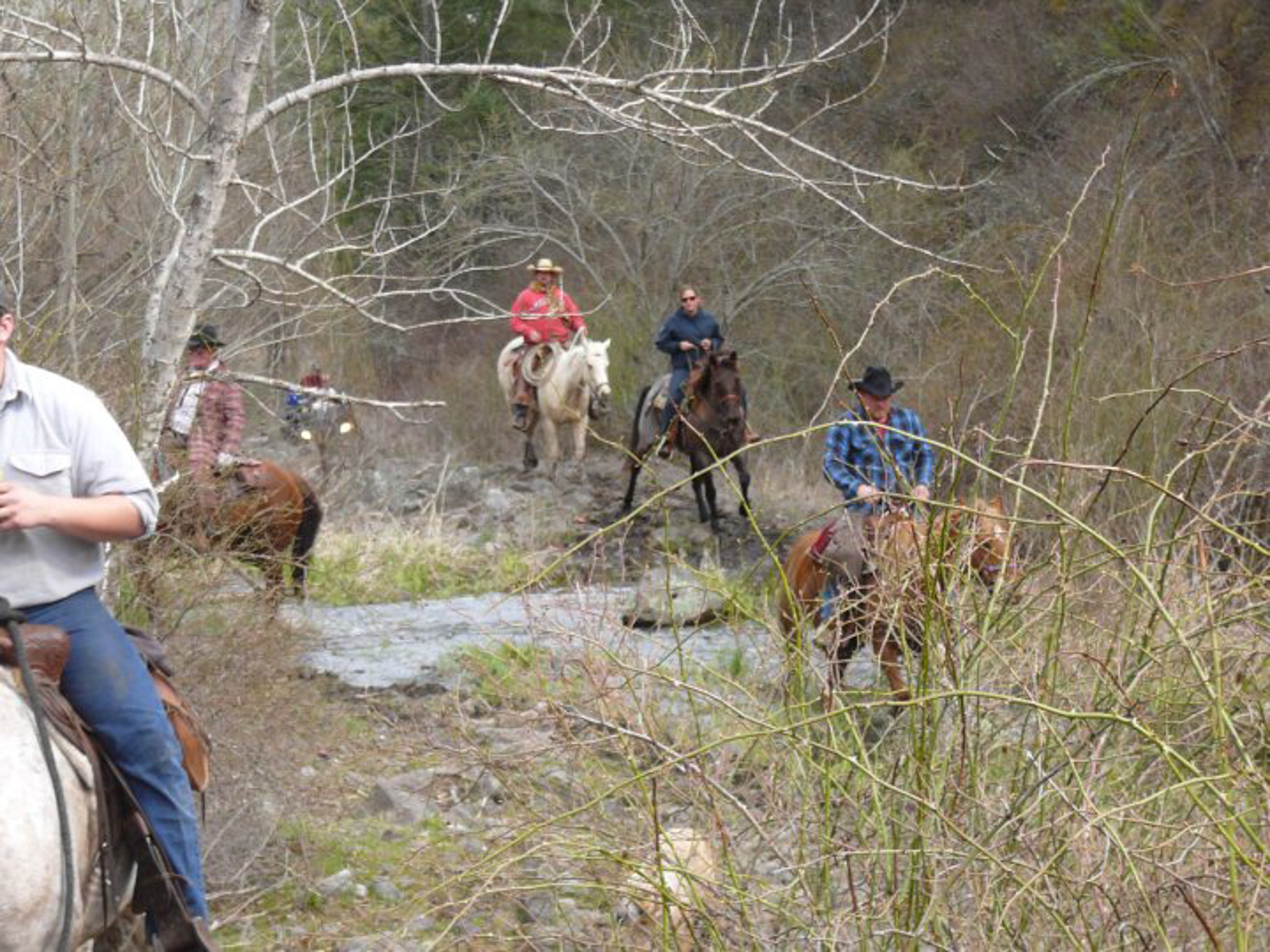 Two_canyons_ranch_Idaho_horse_riding