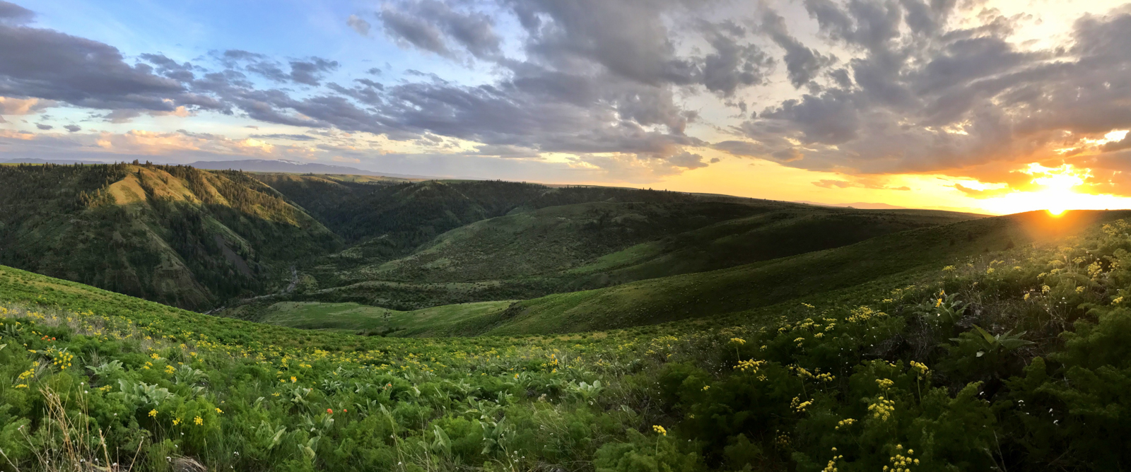Two_canyons_ranch_Idaho_hillside