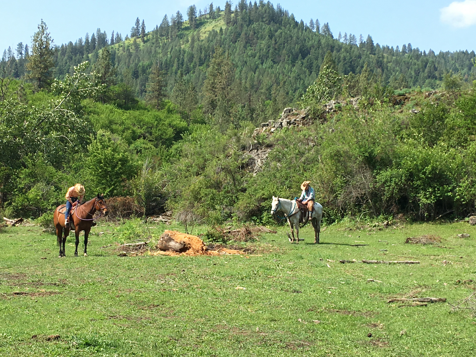 Two_canyons_ranch_Idaho_horse_riding