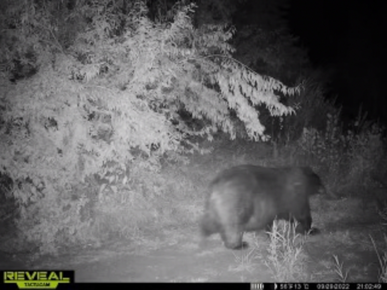 Two_canyons_ranch_Idaho_big_game_hunting