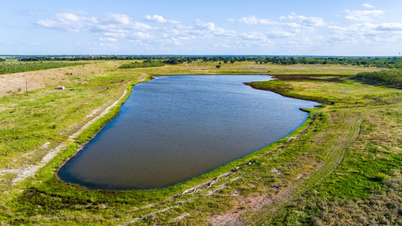 Pond on Texas bird hunting ranch