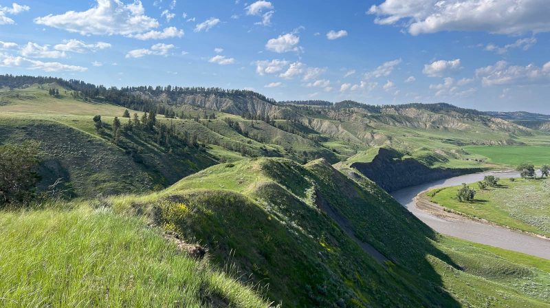 hill landscape of Montana bird hunting ranch