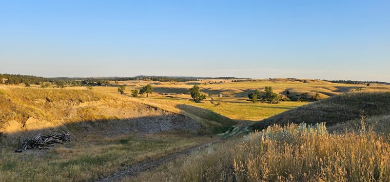 hill landscape on bird hunting ranch in montana