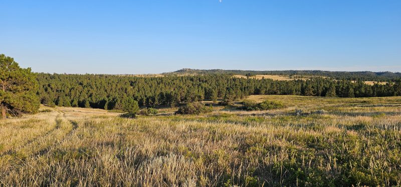 Montana Ranch Yellow Stone Wildlife Refuge