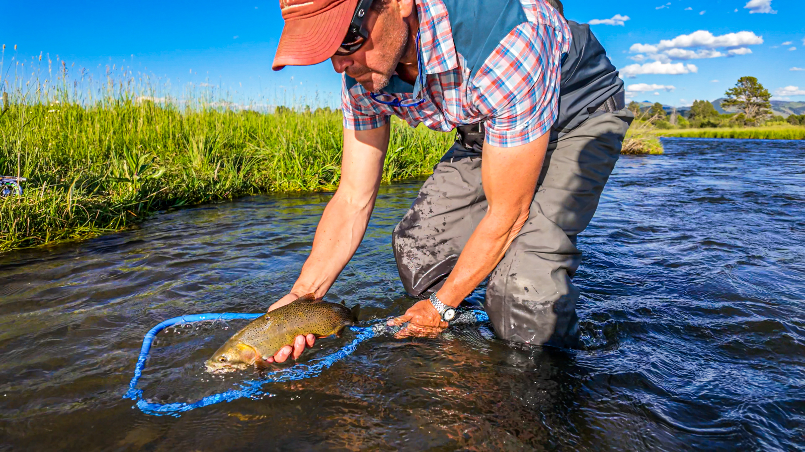 485-North-Fall-Creek- Jackson-Hole-Wyoming_fly_fishing