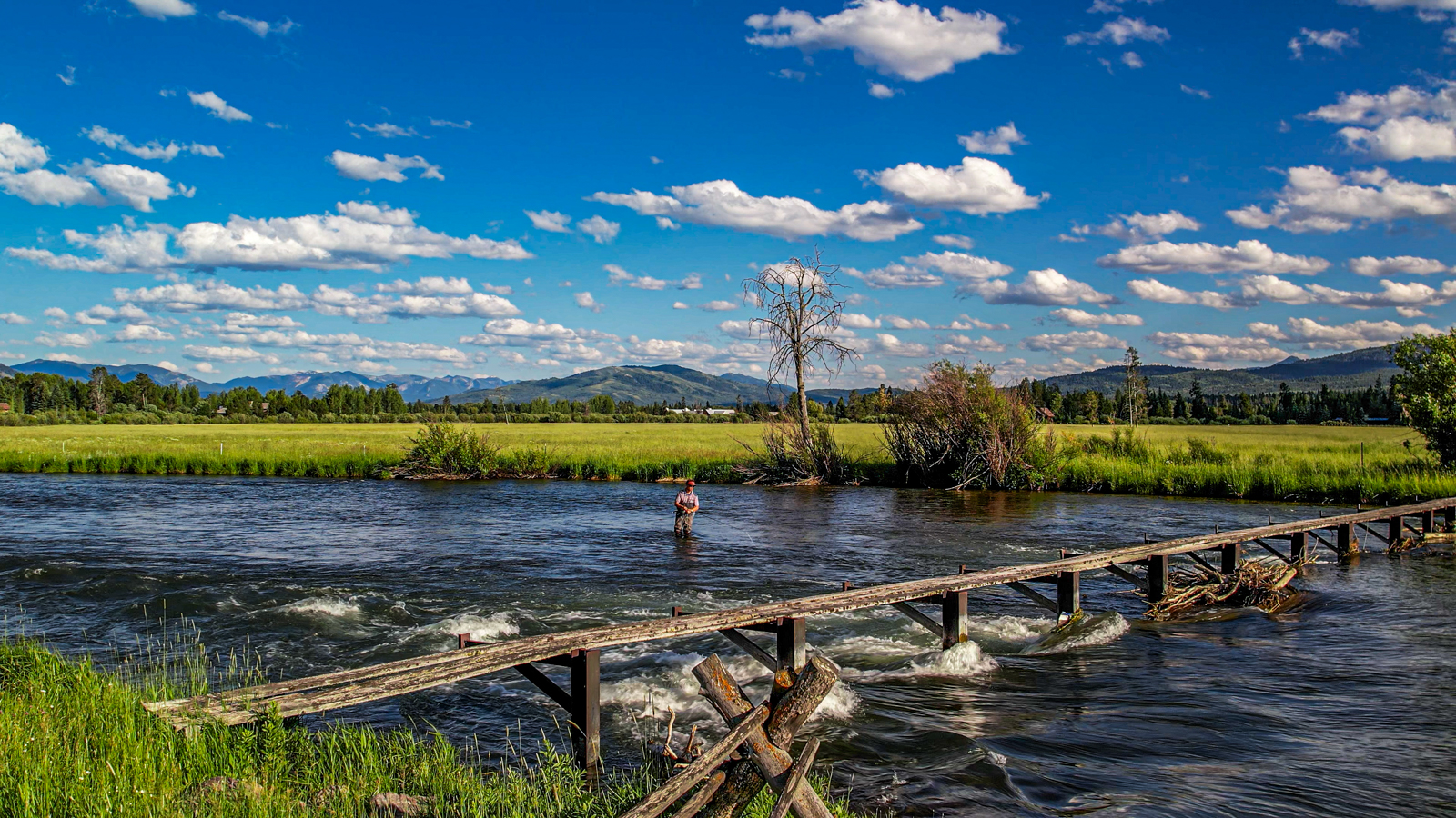 485-North-Fall-Creek- Jackson-Hole-Wyoming (17)
