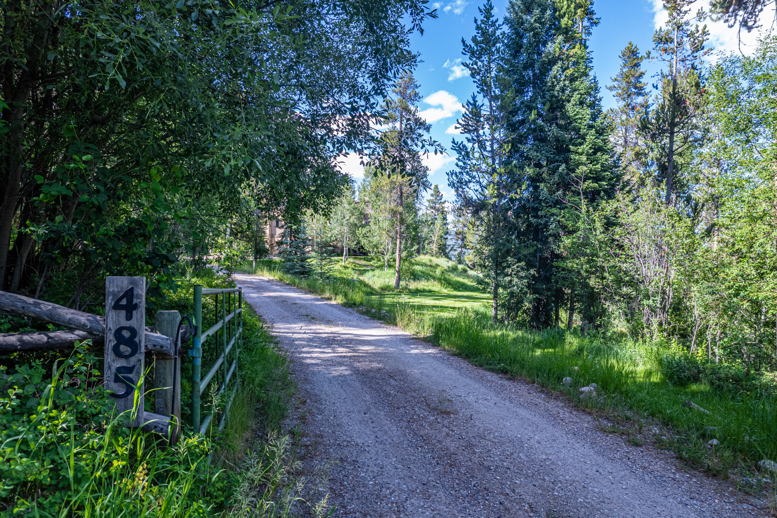 485-North-Fall-Creek-Jackson-Hole-Wyoming_road