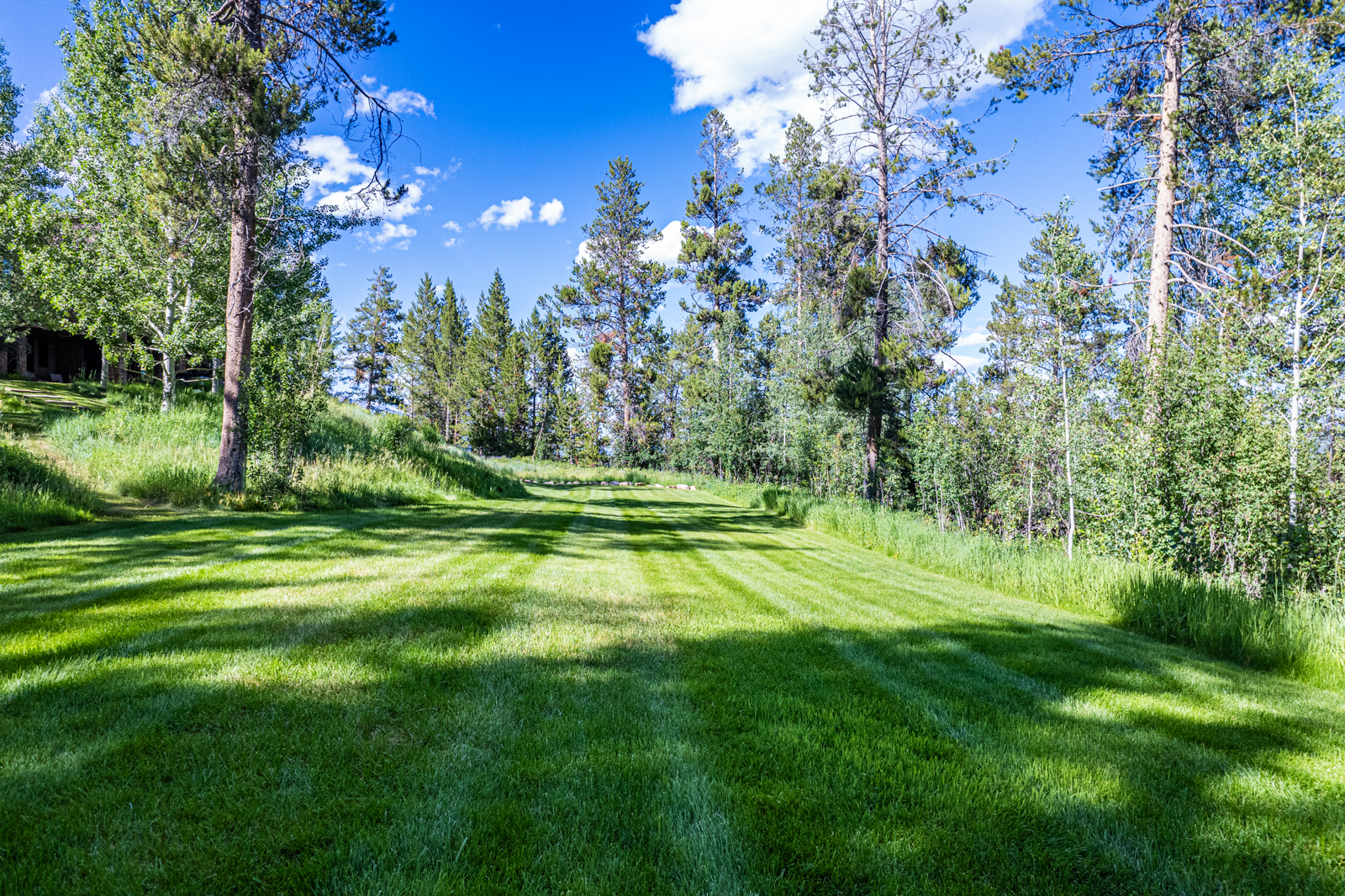 485-North-Fall-Creek-Jackson-Hole-Wyoming_grass_yard
