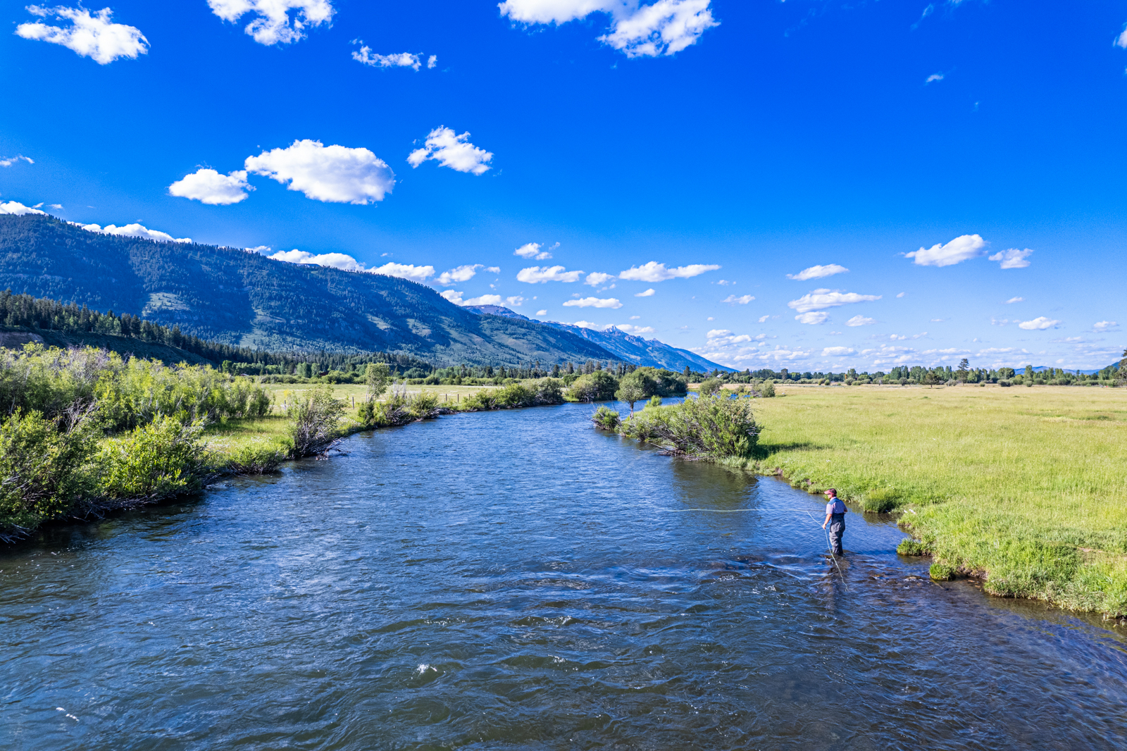 485-North-Fall-Creek- Jackson-Hole-Wyoming (8)