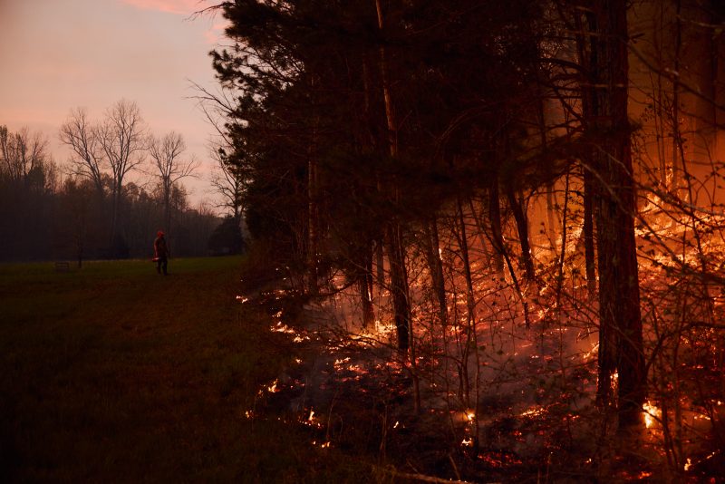“Settin’ the Woods on Fire”, the Practice of Prescribed Burning