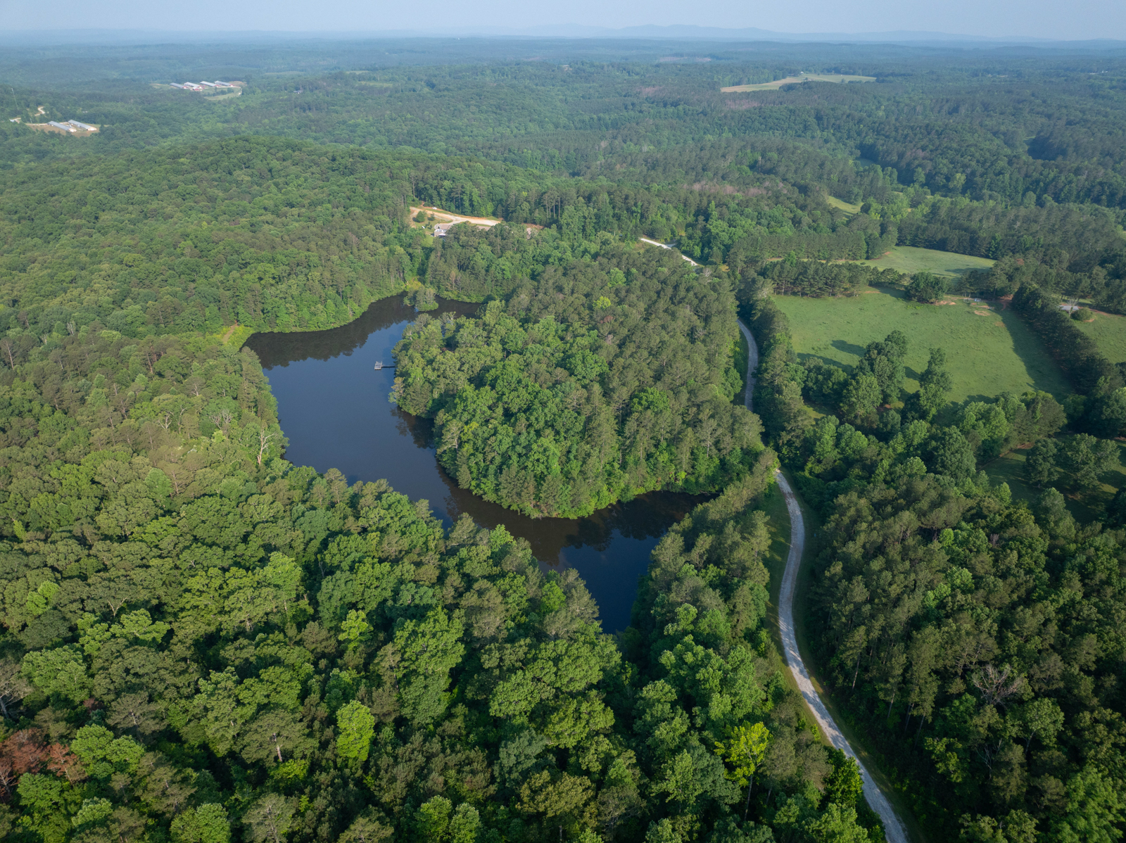 aerial view of Georgia property for sale