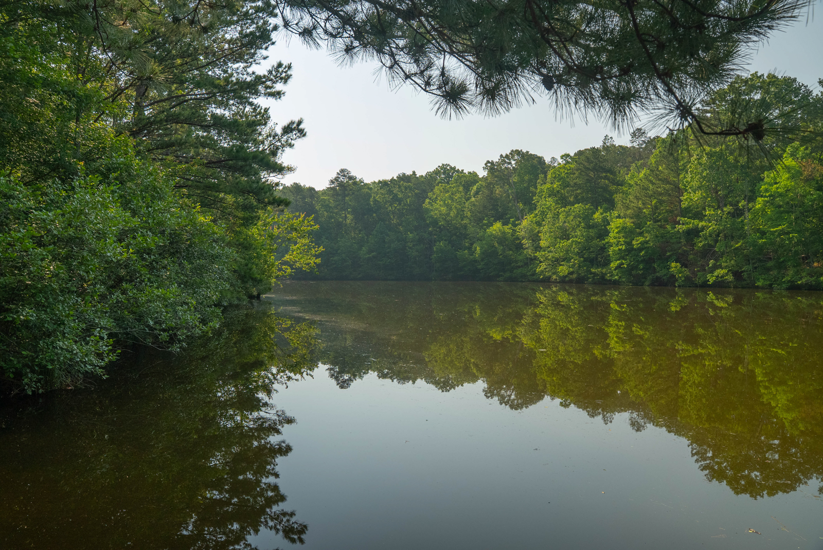 Mann Creek on Georgia property for sale