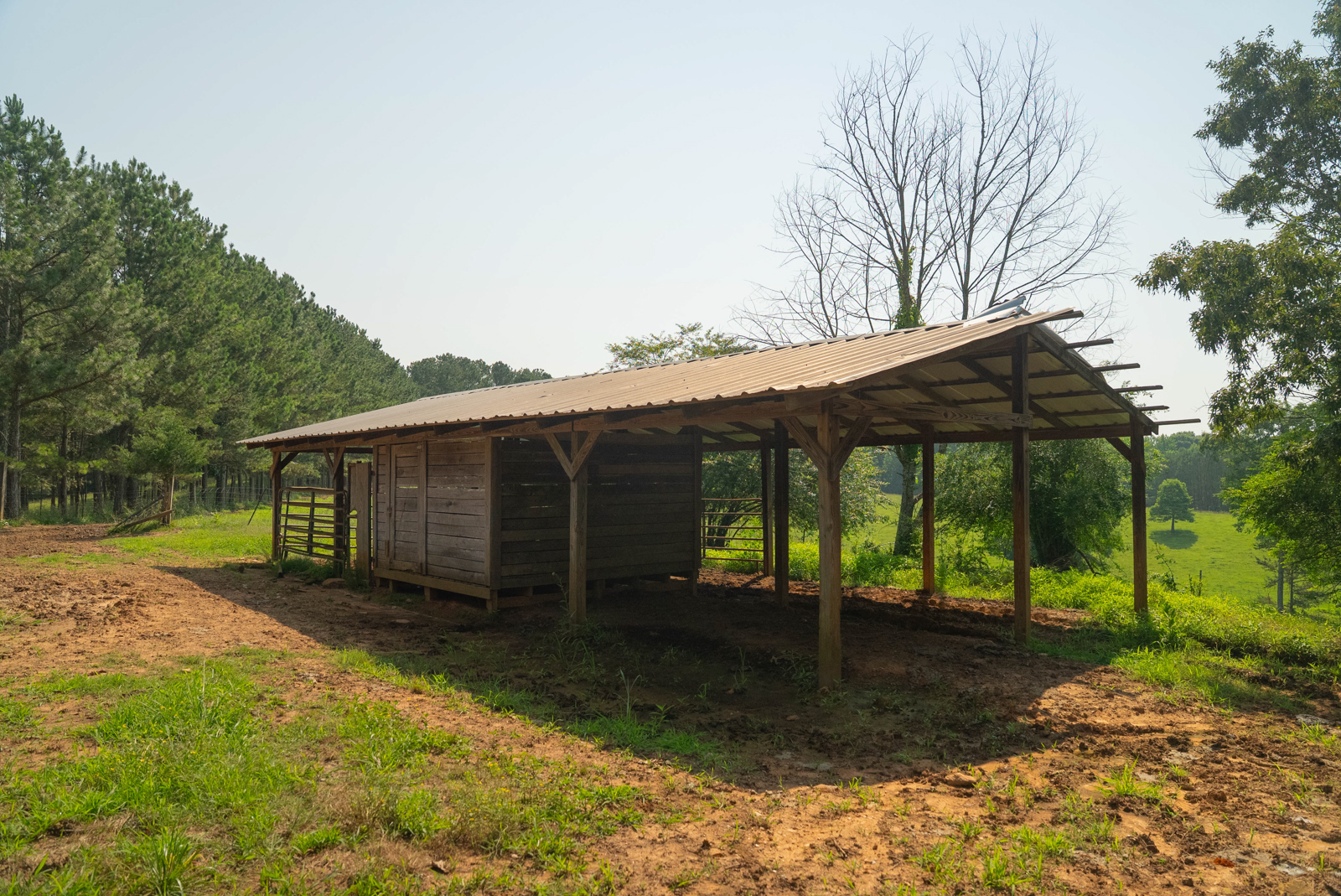 shed for orse and cattle on Georgia property for sale