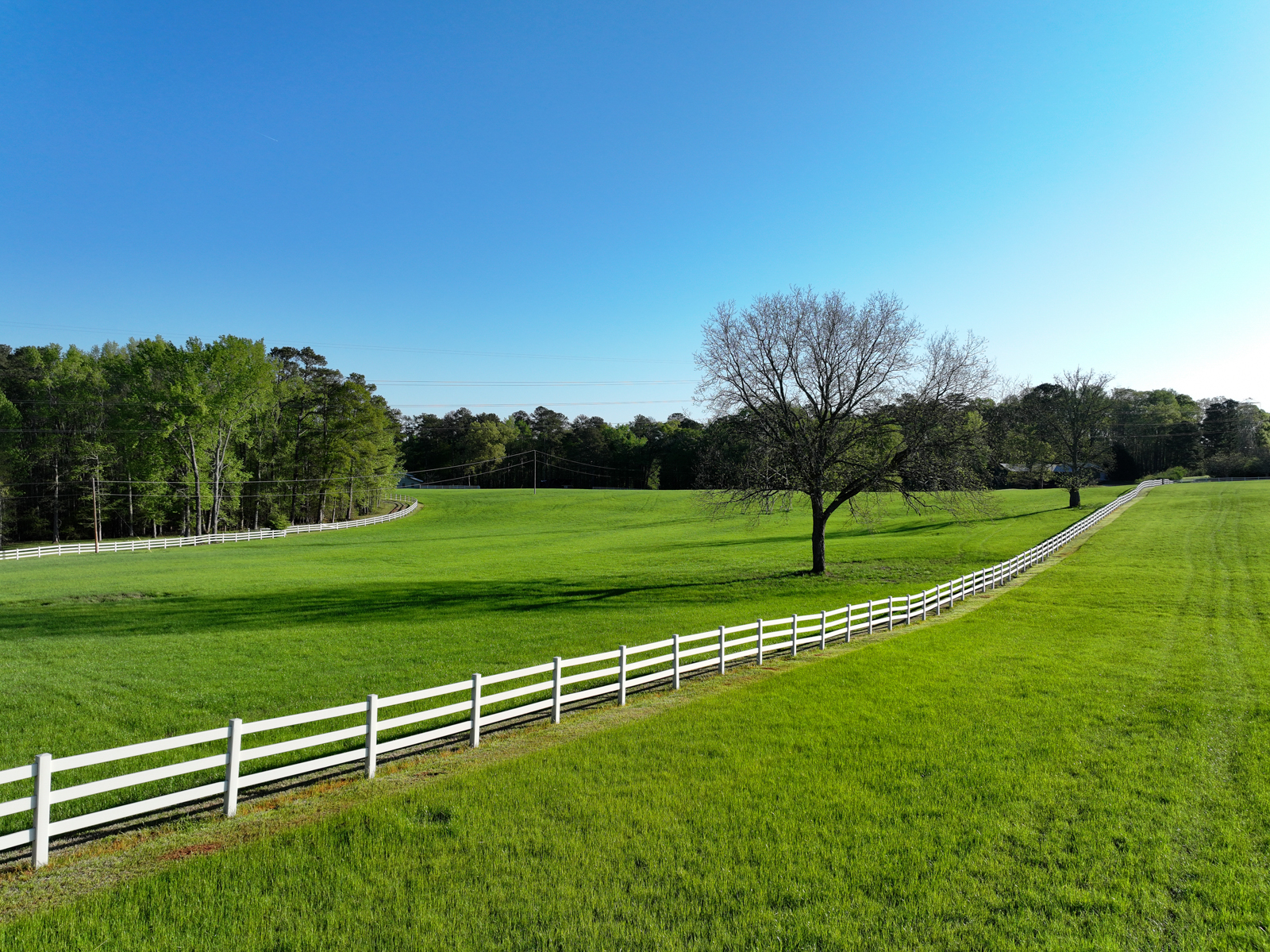 field on Jaw Doc Farms