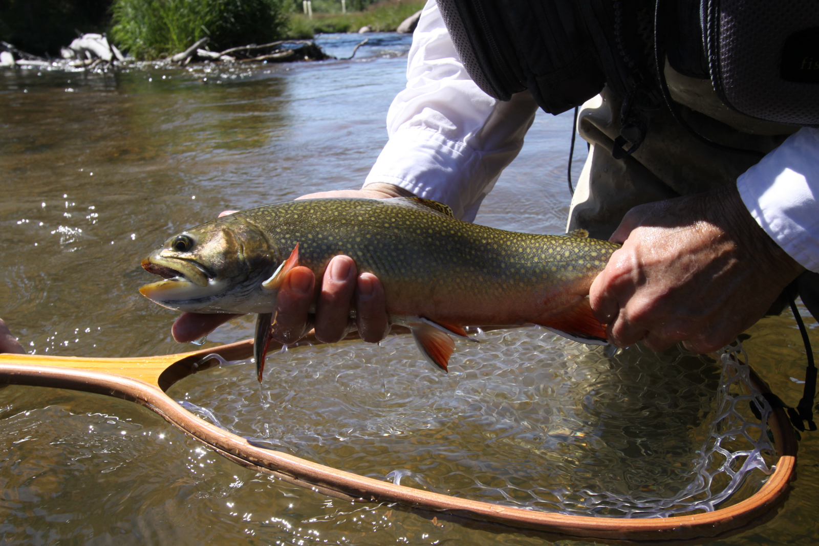 fly fisher holding fish on ranch in Utah for sale