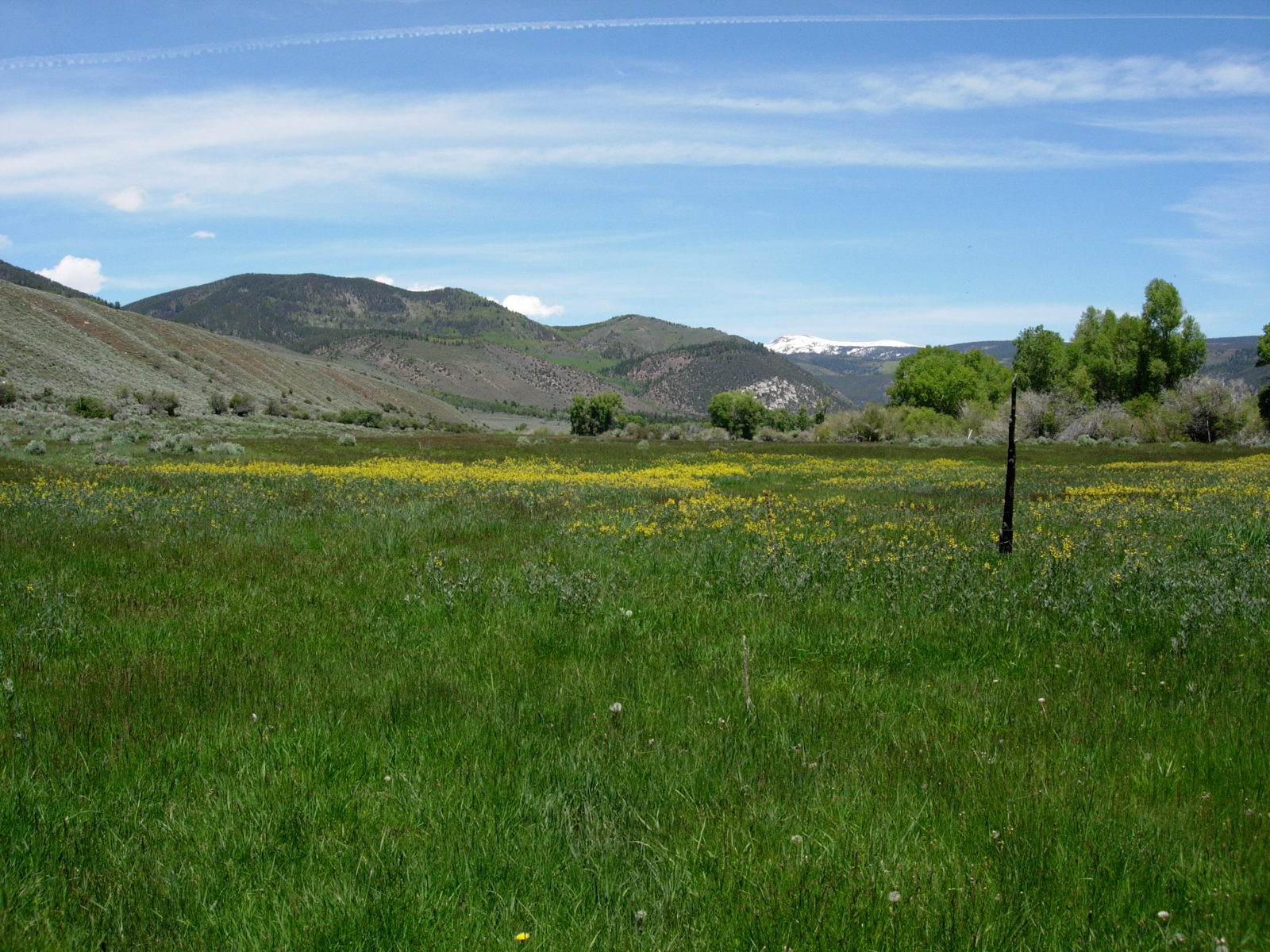 Crystal Ranch field