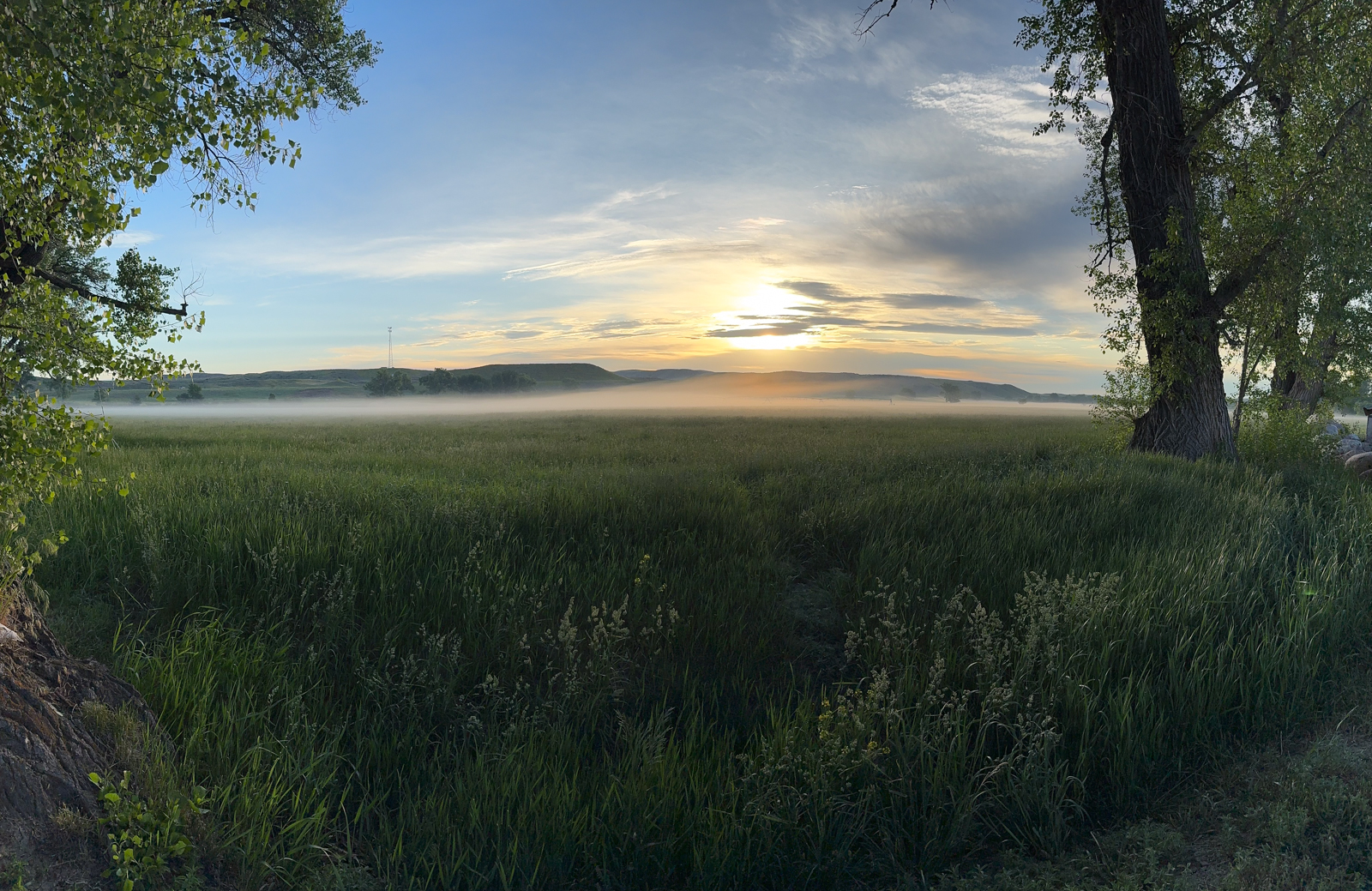 farm field at sunset