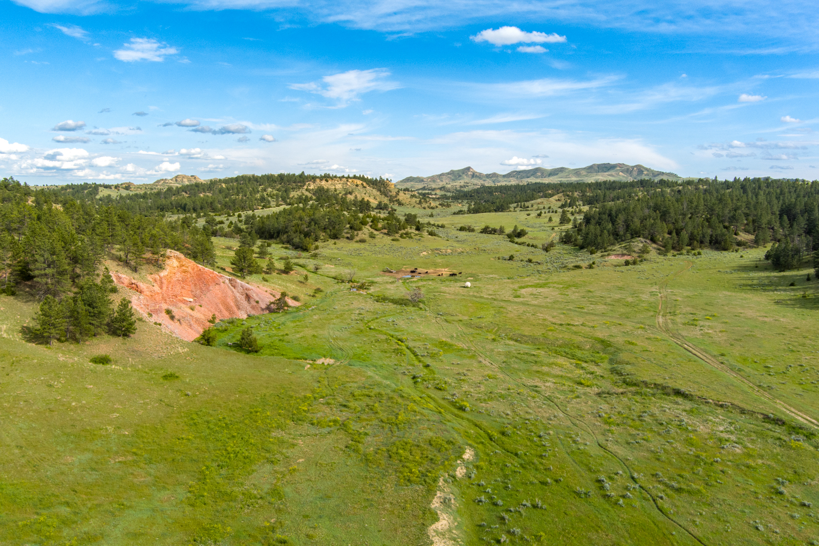 Bowman Creek Ranch pastures