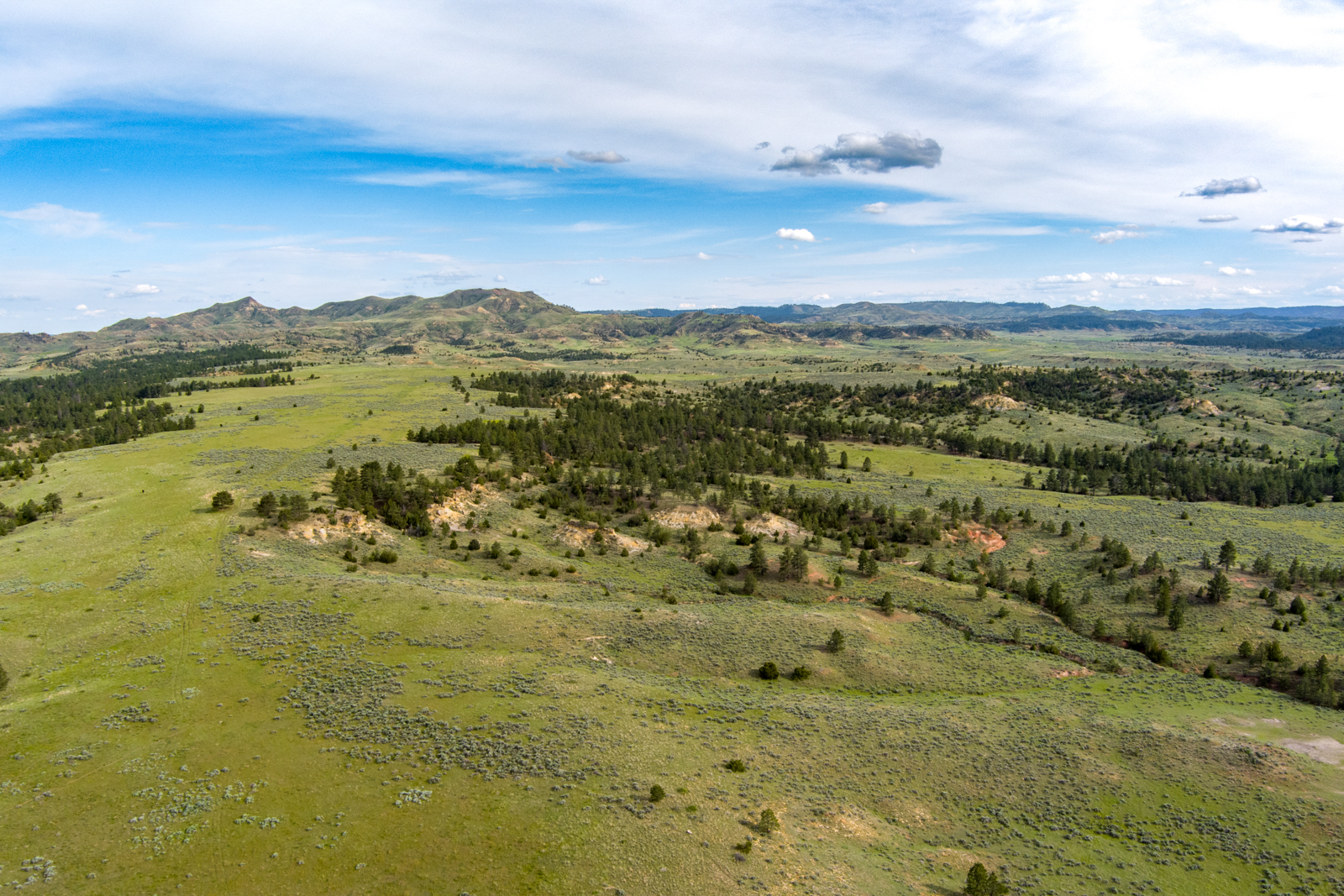 hunting ranch in Montana pastures