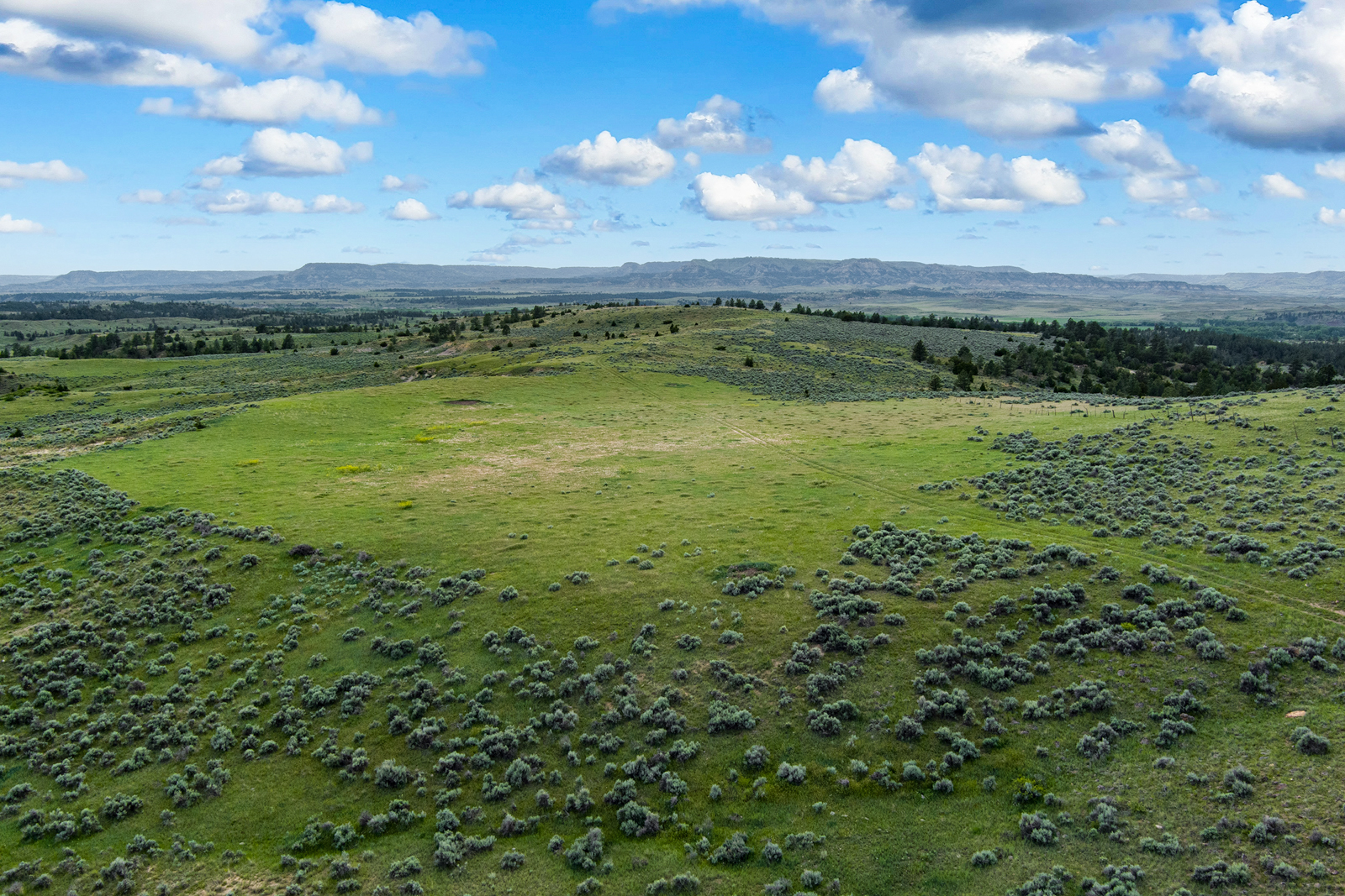 fields on Bowman Creek Ranch