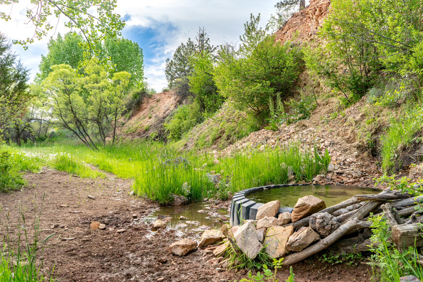 Hillside on hunting ranch in Montana