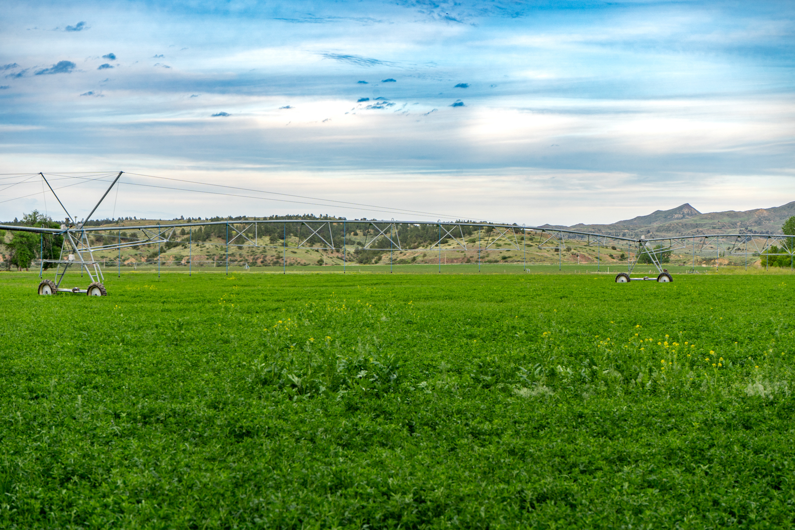 Bowman Creek Ranch irrigation