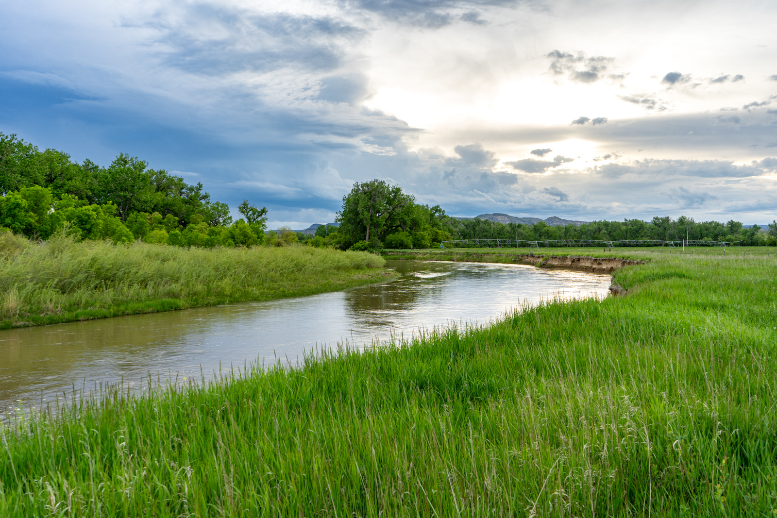 Bowman Creek Ranch stream