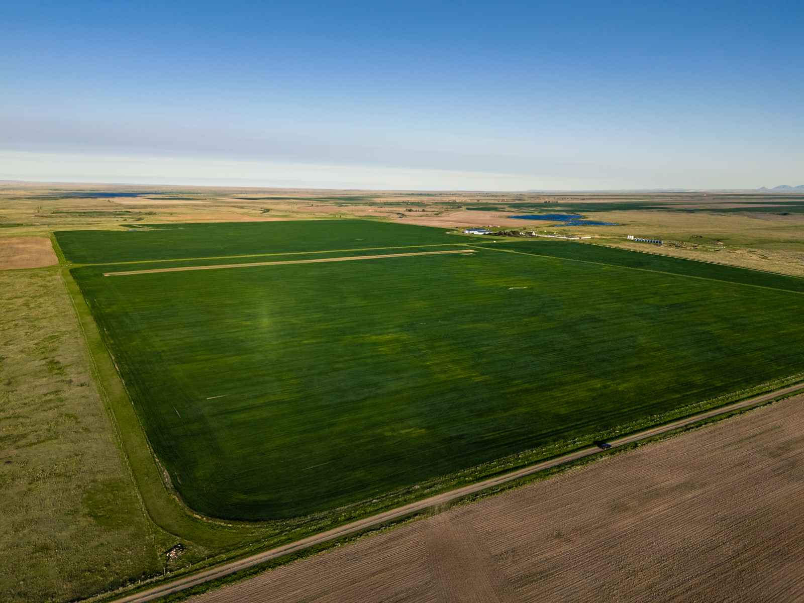 aerial view of farmland
