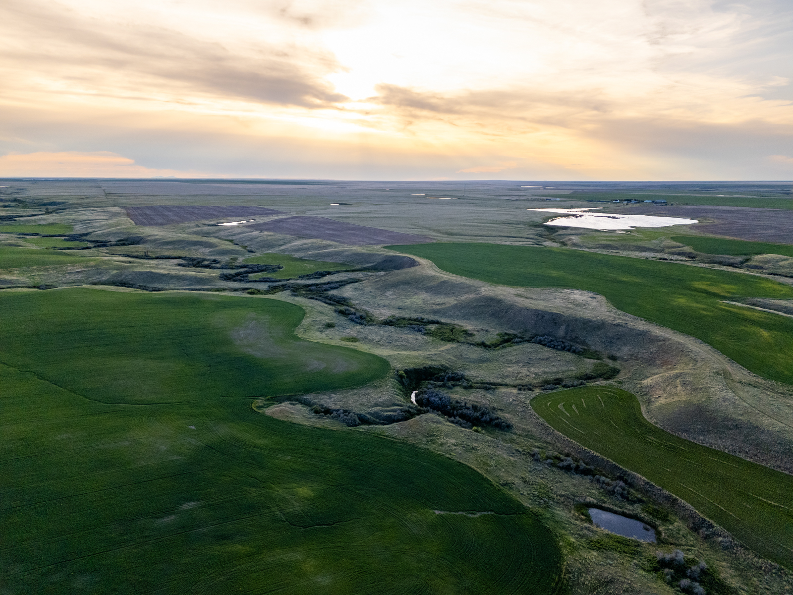 aerial view of property