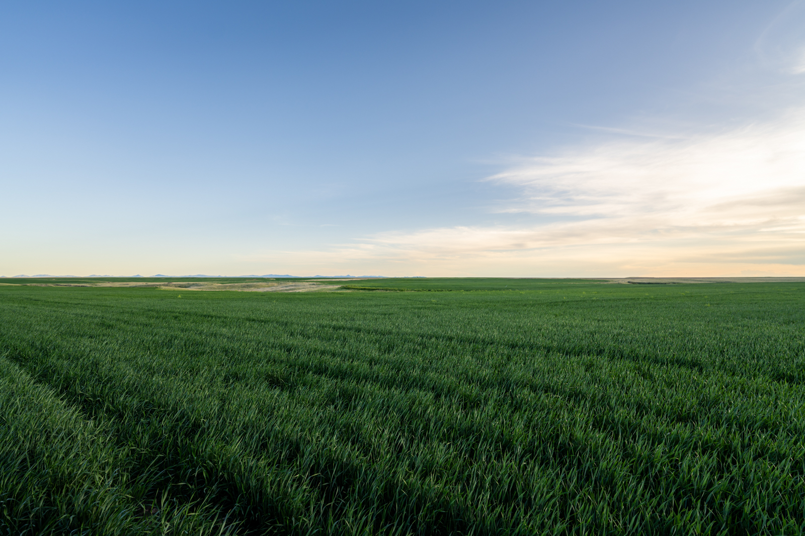 farmland and crops