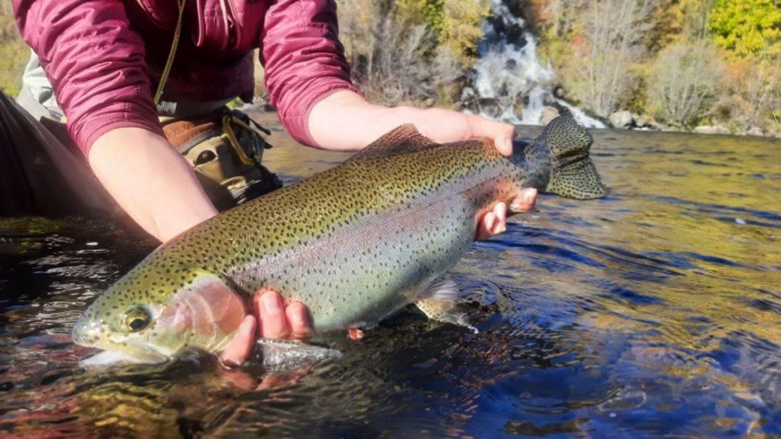 man holding fish in the river