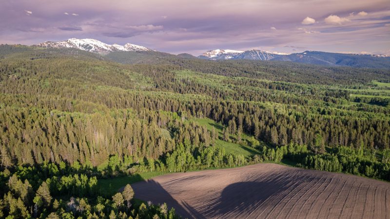 South Leigh Creek Ranch