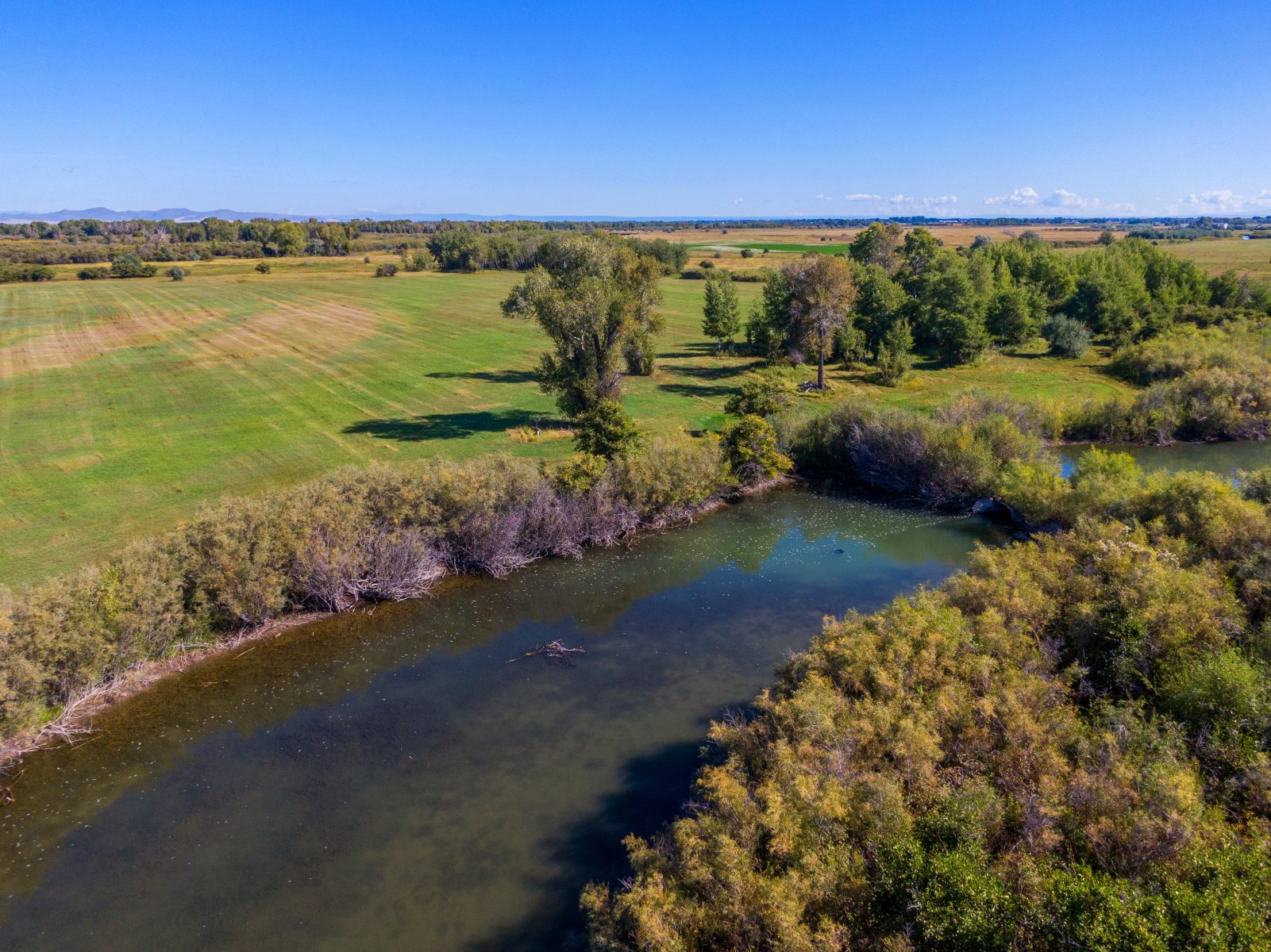 river on Henry's Fork Ranch