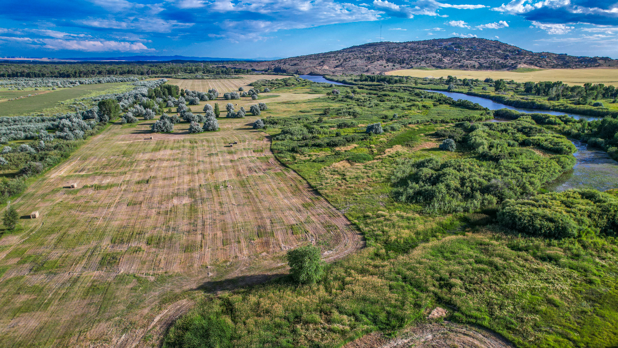 aerial view of farmland and foliage