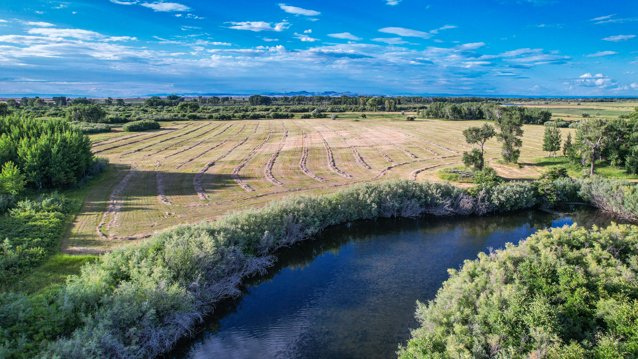 farmland next to river