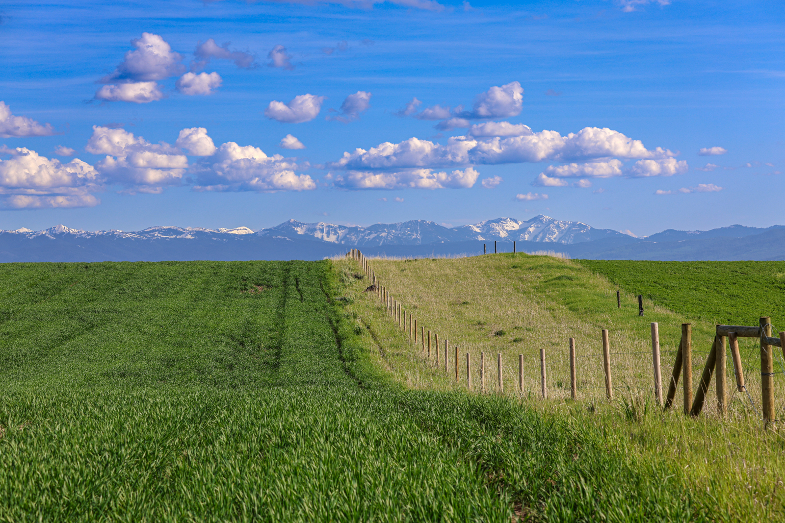 farmland on Sage Creek Farm