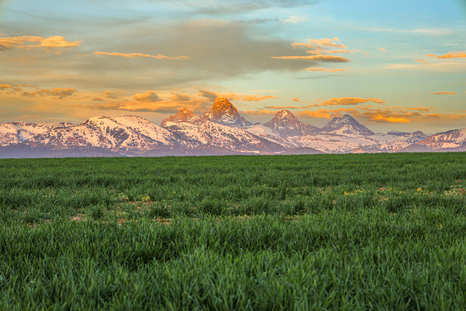Teton mountain views