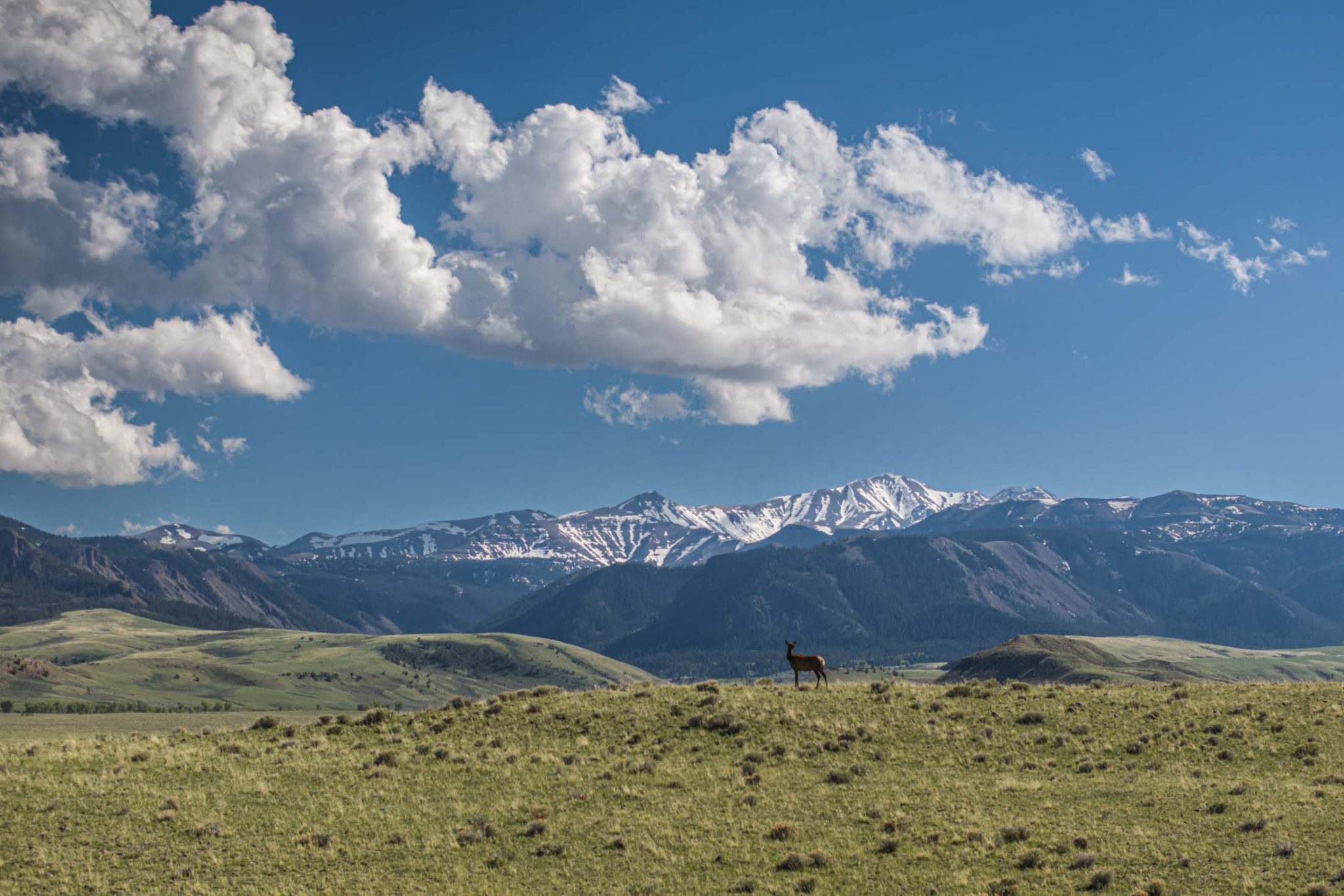 Pitchfork Ranch - Land & Ranches for Sale in Western & Southeastern ...