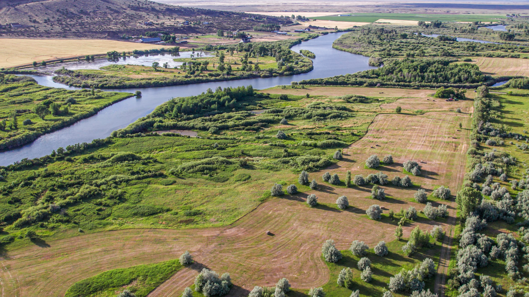 aerial view of river